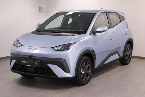 BYD DOLPHIN SURF