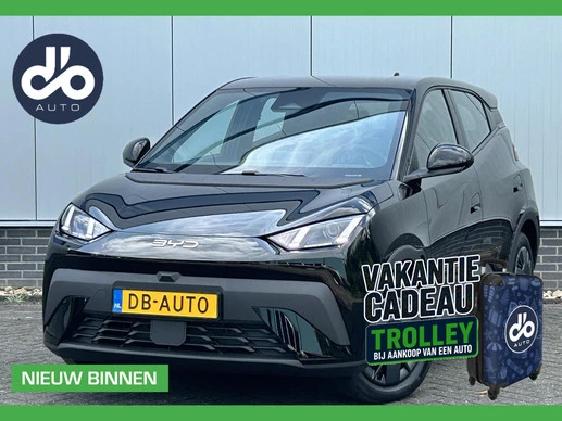 BYD Dolphin Surf leasen