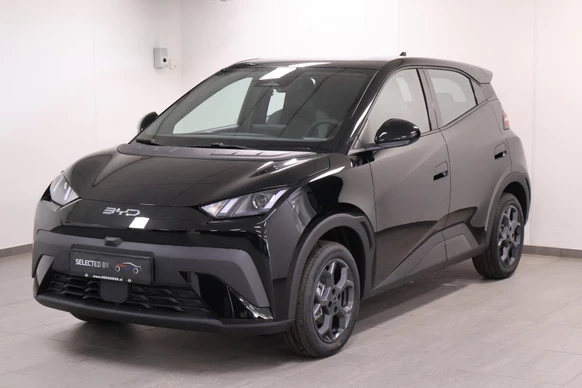 BYD DOLPHIN SURF