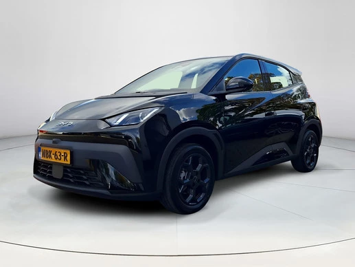 BYD DOLPHIN SURF