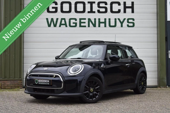 Mini Electric