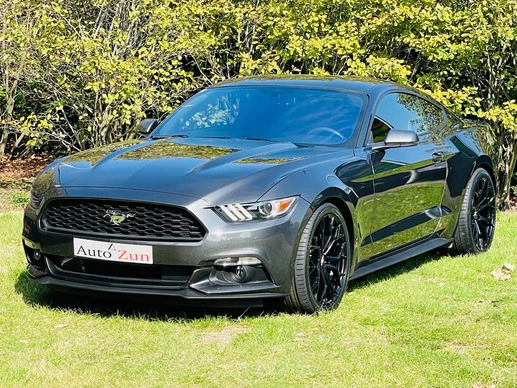 Ford Mustang - Afbeelding 3 van 24