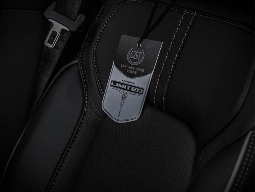 Dodge Ram 1500 - Afbeelding 9 van 30