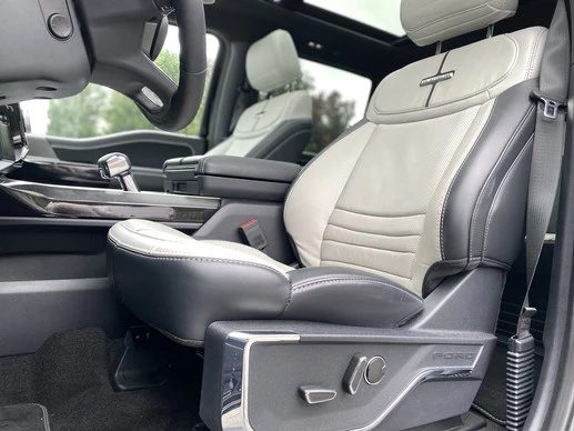 Ford F-150 - Afbeelding 10 van 30