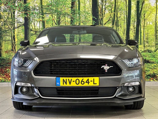 Ford Mustang - Afbeelding 2 van 30