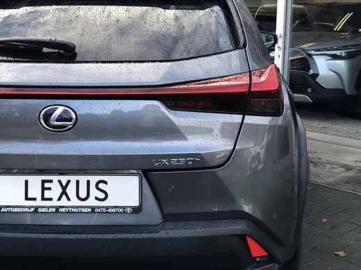 Lexus UX - Afbeelding 8 van 30